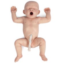 Lifecastマネキン，新生児（正期産児，男）