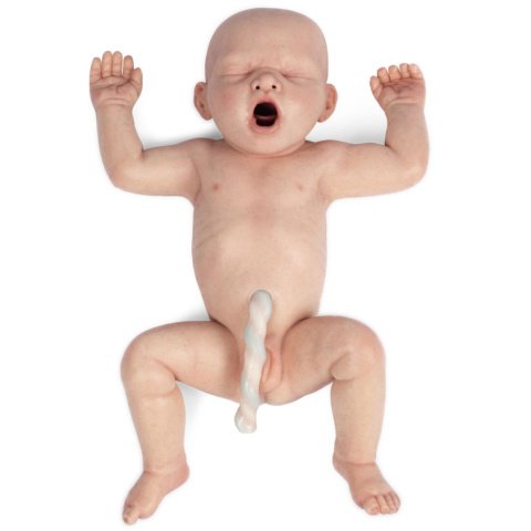 Lifecastマネキン，新生児（正期産児）