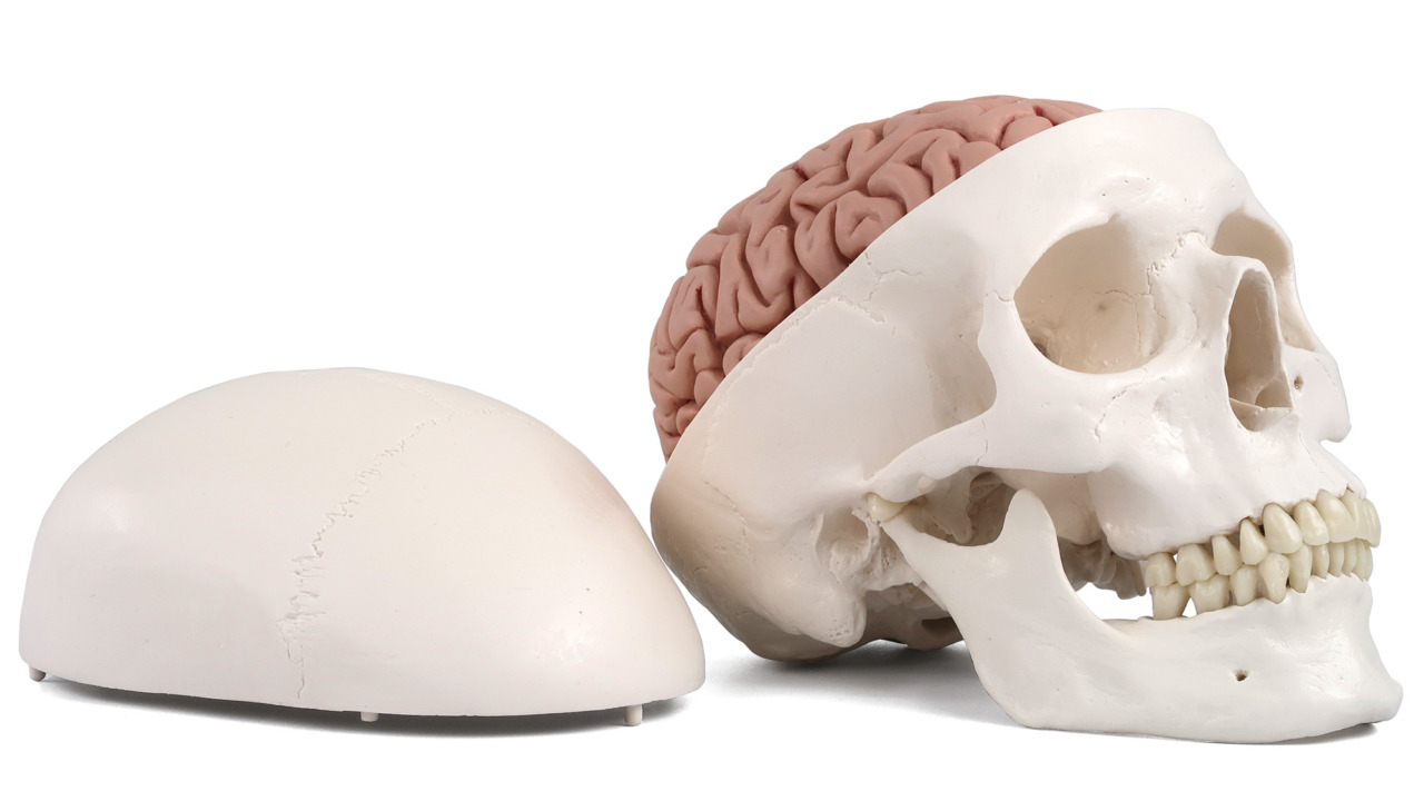 超シンプル！頭蓋骨調整実践＆導入法～日野原式“脳スパ”テクニック 