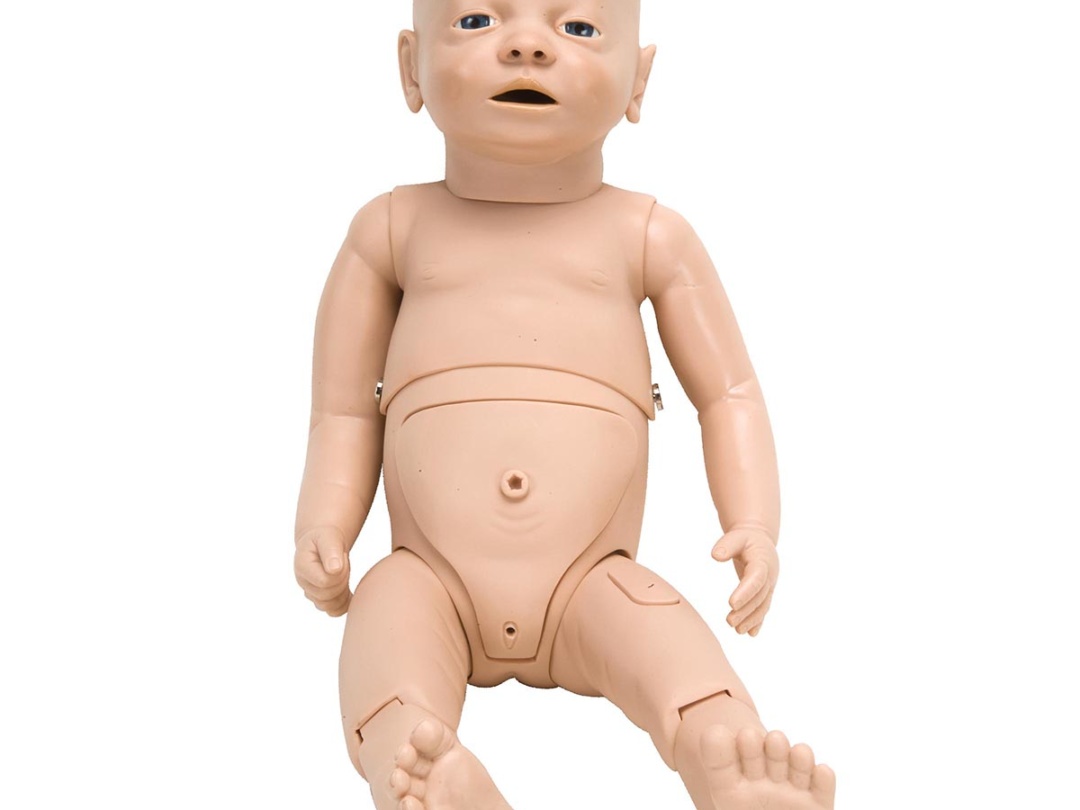 乳児看護トレーニング用モデル，両性型 - 日本スリービー・サイエン 